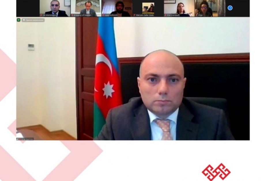 Azərbaycan ilə İsveç arasında mədəniyyət sahəsində əməkdaşlıq məsələləri müzakirə olunub