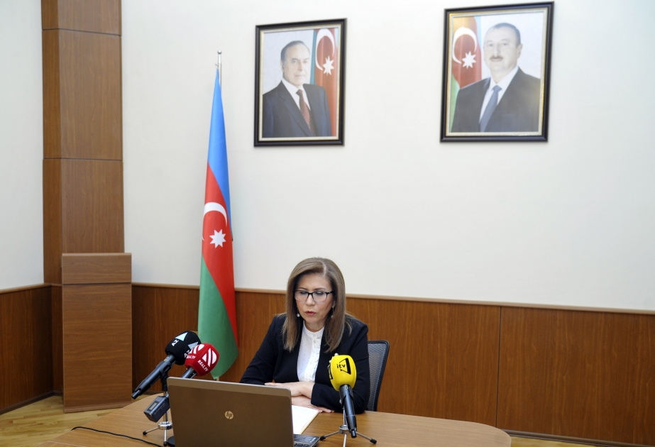 Məişət zorakılığı və uşaq hüquqları sahəsində qəbul edilmiş Milli Fəaliyyət planlarının videokonfrans formatında müzakirəsi keçirilib