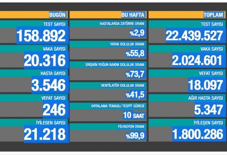 Türkiyədə son sutkada koronavirusdan 246 nəfər ölüb