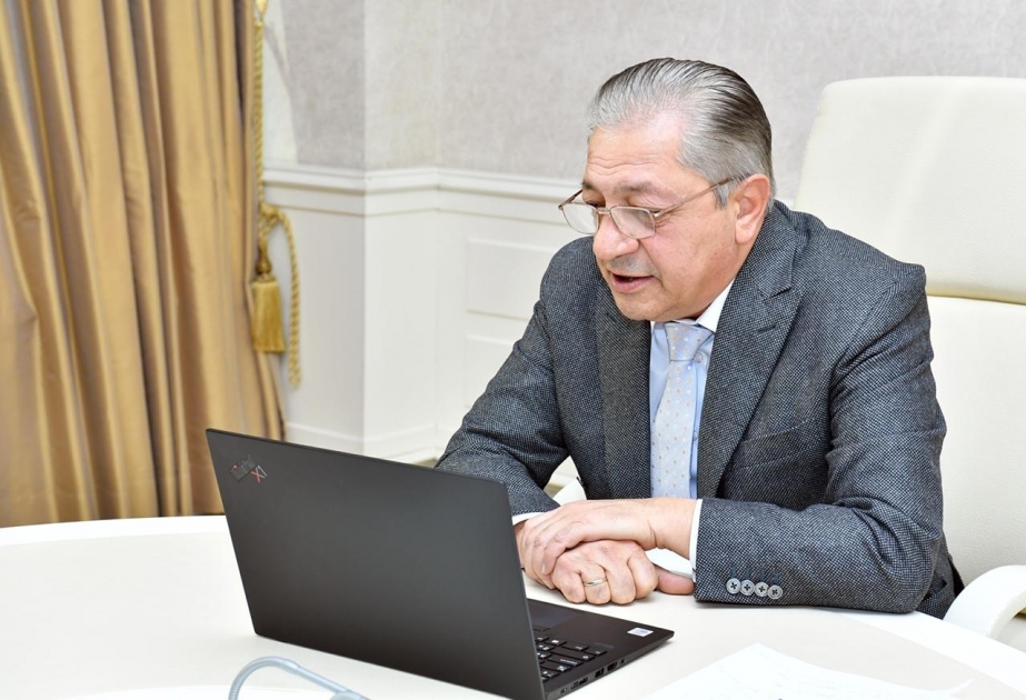 Milli Məclis ilə Avropa Parlamenti arasında videoformatda görüş keçirilib
