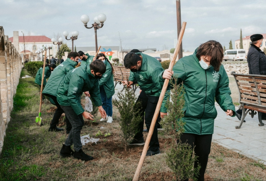 Aqrar İnkişaf Könüllülərinin şəhidlərimizin xatirəsinə həsr olunmuş ağacəkmə aksiyası davam edir