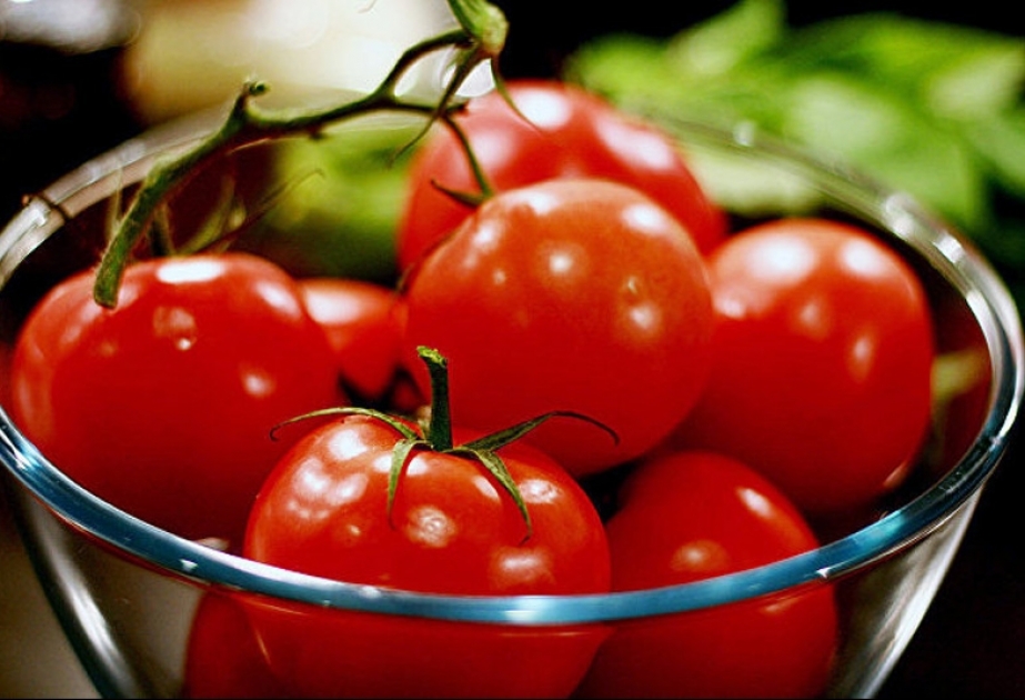 Россельхознадзор снимает запрет на поставку помидоров с 12 азербайджанских предприятий