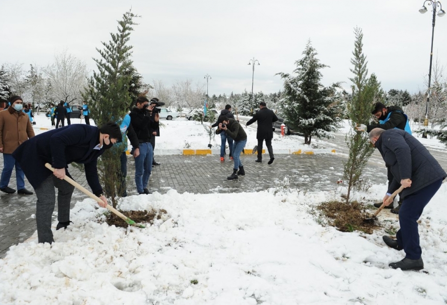 “Davam” Gənclər Hərəkatı ümumrespublika ağacəkmə aksiyası keçirib