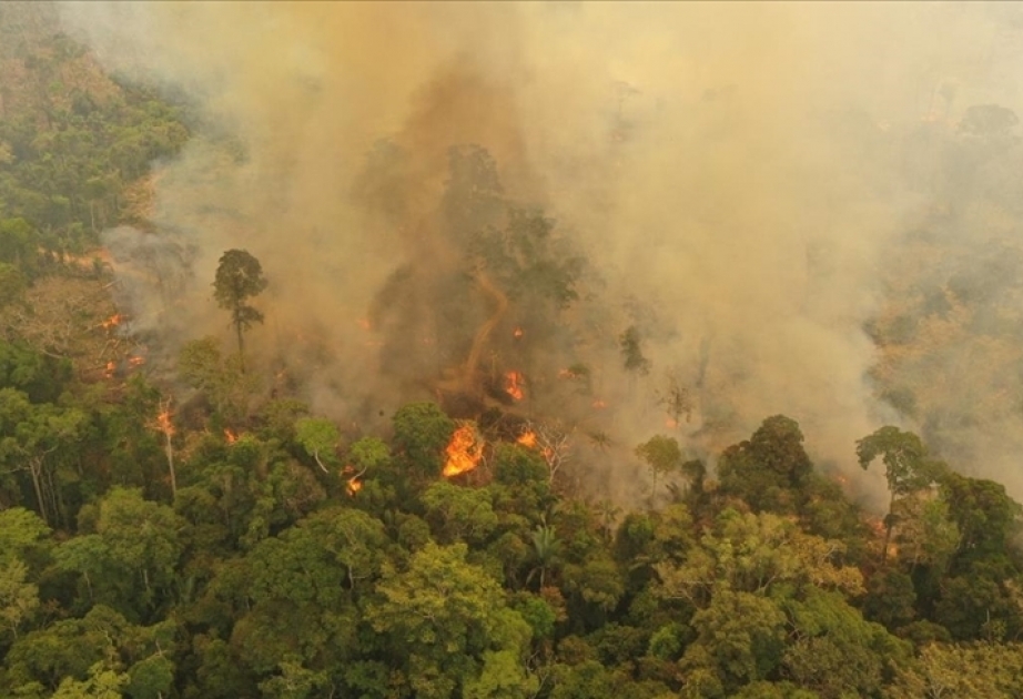 Pueblos indígenas declaran una emergencia climática en la Amazonía