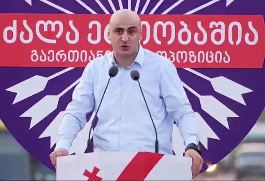 Gürcüstanda ilk dəfə siyasi partiya sədri onlayn səsvermə yolu ilə seçilib