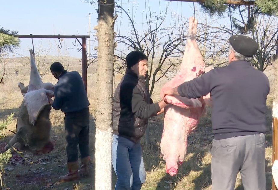 Beyləqanlı fermer 100 baş qoyun kəsərək müharibə əlilləri və şəhid ailələrinə paylayıb VİDEO