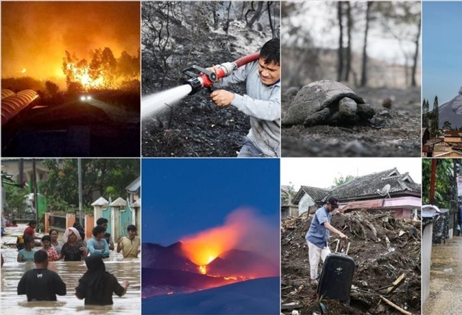 Los desastres naturales que azotaron el mundo durante el 2020