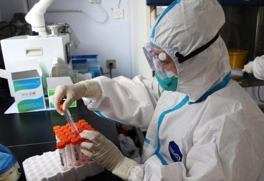 Georgia reports 2,012 new coronavirus cases, 2,638 recoveries, 25 deaths