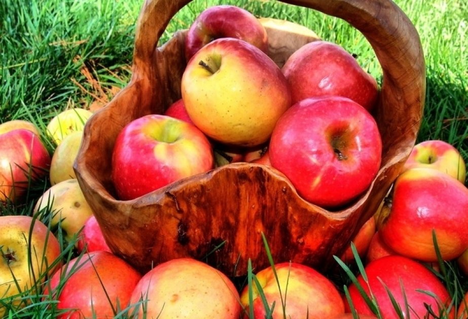 阿塞拜疆苹果出口量减少