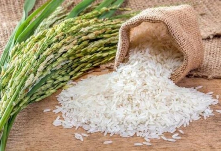 Azerbaiyán aumentó las importaciones de arroz en más de un 15%