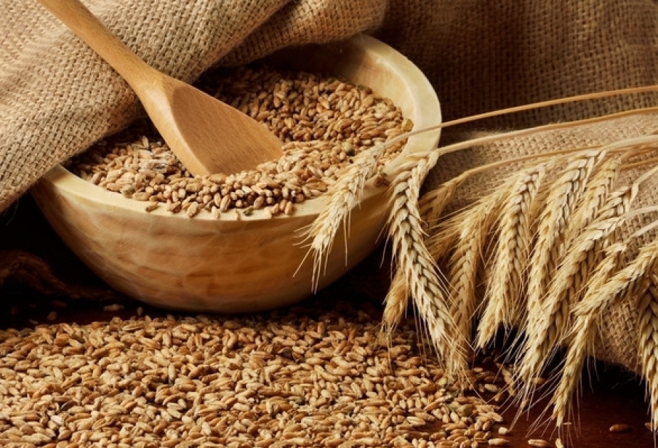 小麦进口量减少