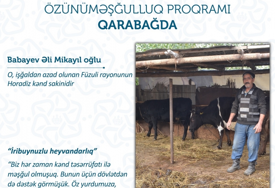 Füzuli sakinləri təsərrüfatlarını doğma yurdlarında daha da genişləndirəcəklər