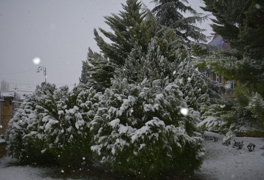 拉扎村积雪达26厘米 黑纳雷戈温度降到-10度