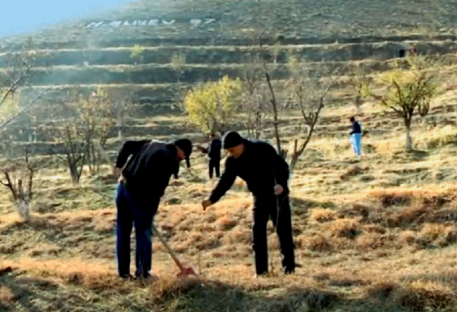 Ting yetişdirmə sahəsinin ərazisi genişləndirilir