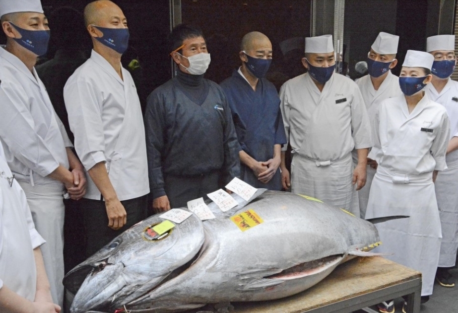 Tokioda keçirilən ilk hərracda mavi tuna balığı təqribən 21 milyon yenə satılıb