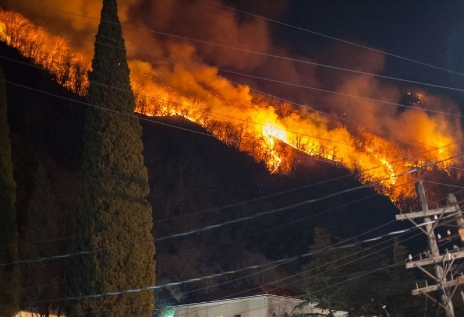 La Géorgie face aux feux de forêts