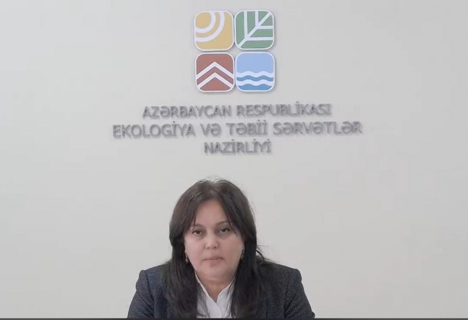 Umayra Tağıyeva: Yaxın həftə ərzində Bakıda qar yağması gözlənilmir