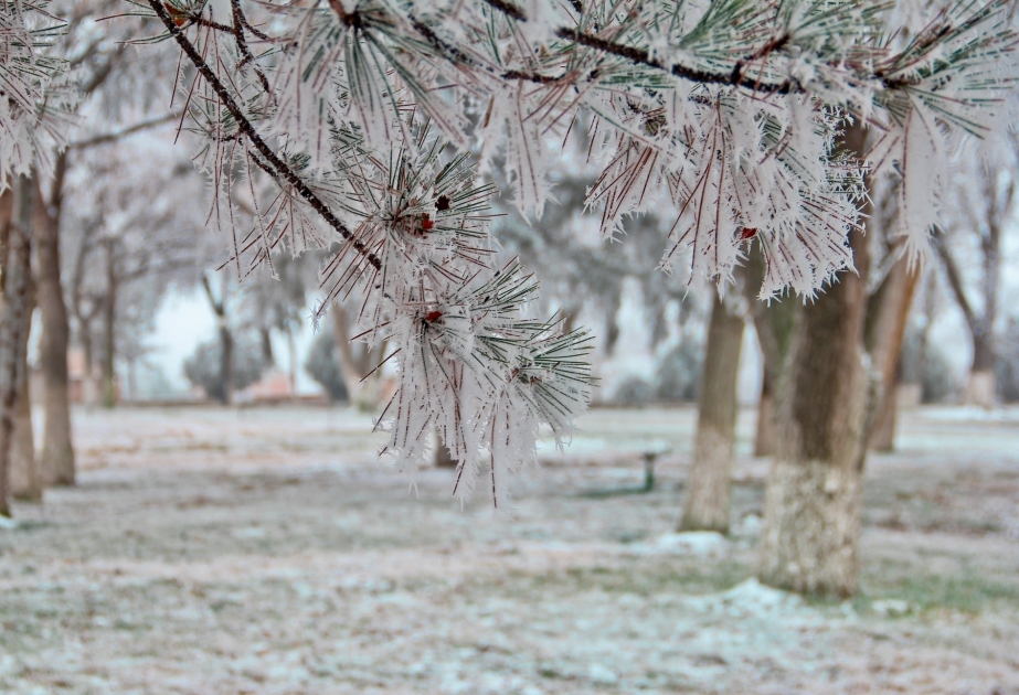Paysages d'hiver de la ville de Nakhtchivan