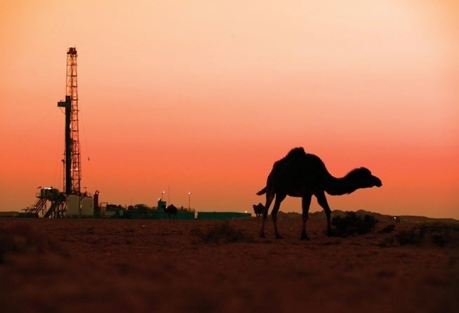 Oil prices fall on world markets