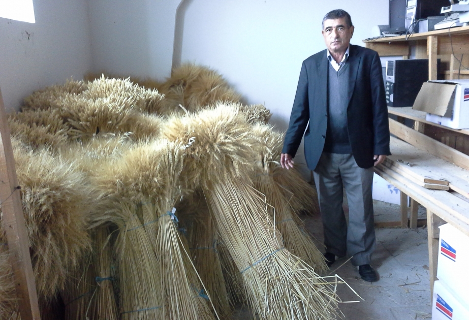Fermerlərin qış qayğıları - mütəxəssis məsləhəti