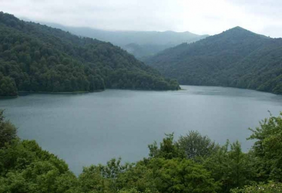 11 yanvar - Dünya Qoruqlar və Milli Parklar Günüdür