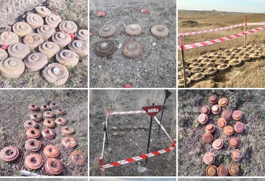 126 artefactos explosivos sin detonar encontrados en la zona del frente