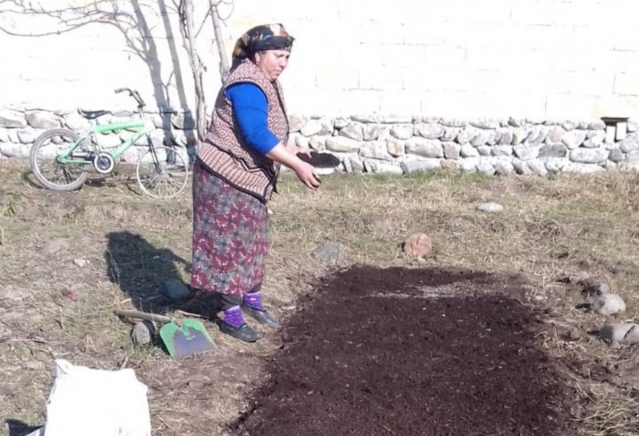 Farmer in Balakan Region planen Tabakanbau in 300 Hektar großem Ackerland