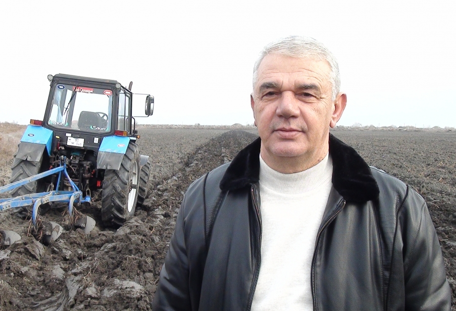 Sabirabadlı fermer pambıqçılıqda innovativ üsulla 680 ton məhsul əldə edib