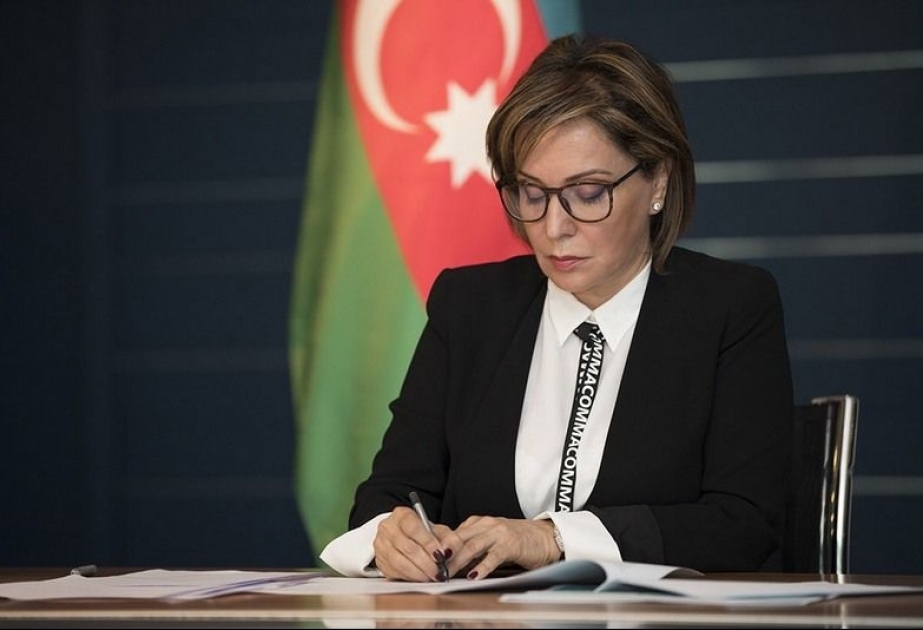 “Metan Rəhbər Prinsipləri” beynəlxalq Təşəbbüsünün rəhbər heyətinin illik hesabat görüşü keçirilib