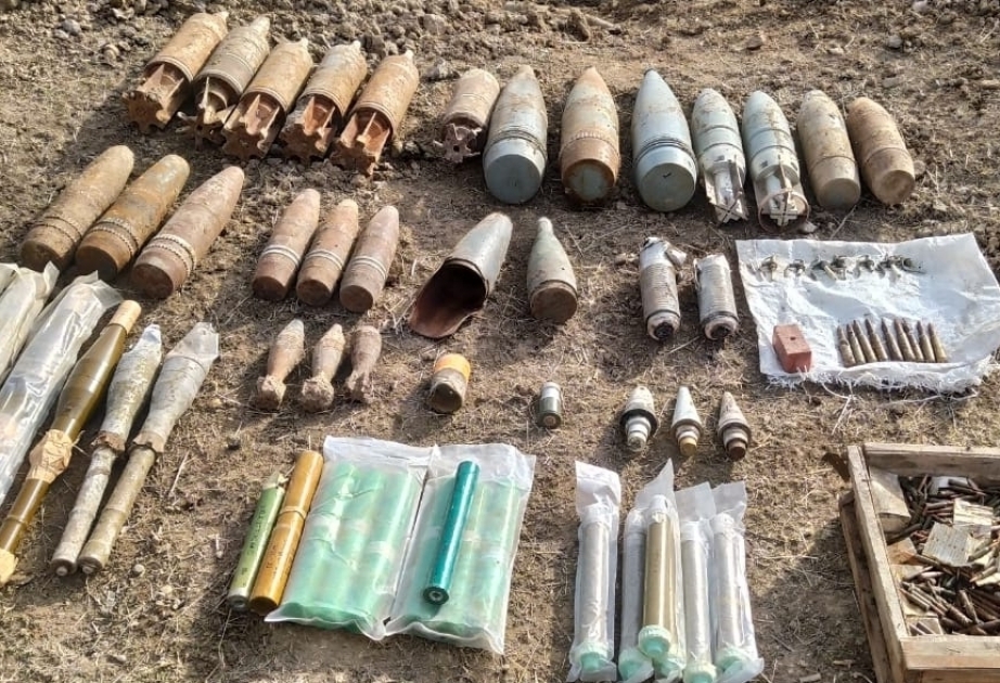 Los especialistas de ANAMA detectaron una gran cantidad de artefactos explosivos sin detonar en la zona de la línea del frente
