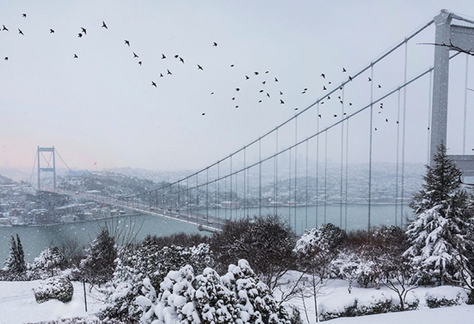 İstanbulda evsiz vətəndaşlar otellərə yerləşdirilirlər