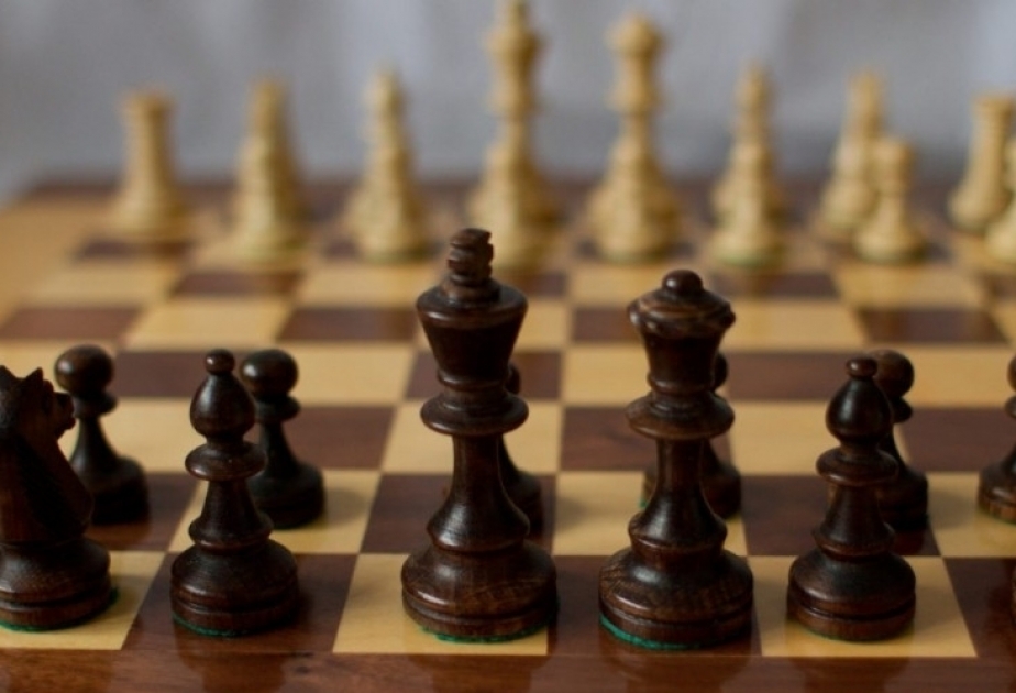 تنظيم بطولة الشطرنج تكريسا لذكرى شهداء 20 يناير