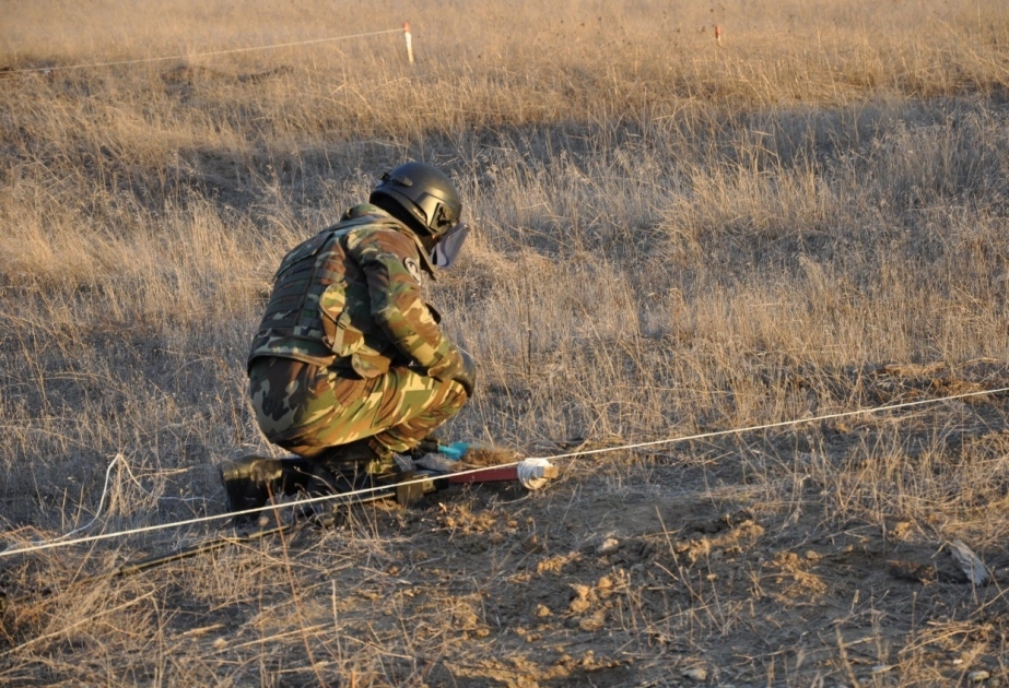 Desminadores azerbaiyanos y rusos desactivaron 210 minas