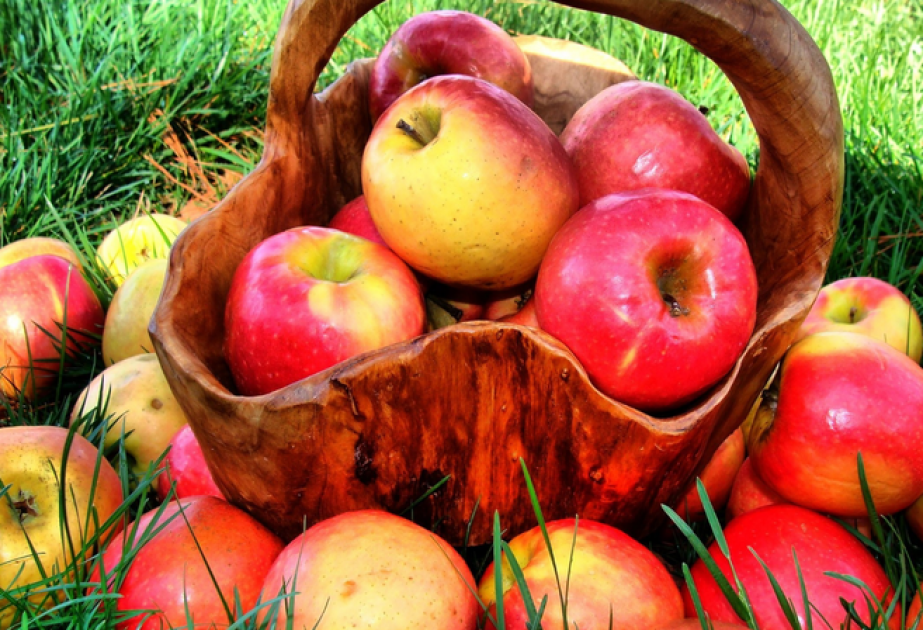 Aserbaidschan exportiert 2020 wenig Apfel
