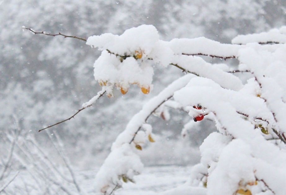 Havanın temperaturu iqlim normasından 5.5 dərəcə aşağı olub