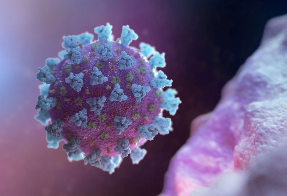 Британский штамм коронавируса обнаружен в 60 странах