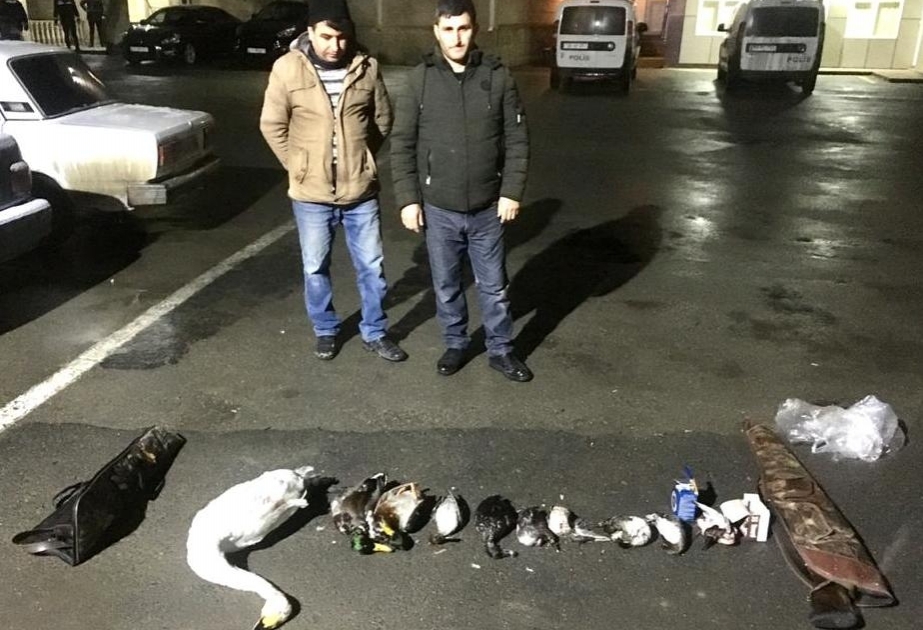 Şabranda qanunsuz ov edən şəxslər saxlanılıb