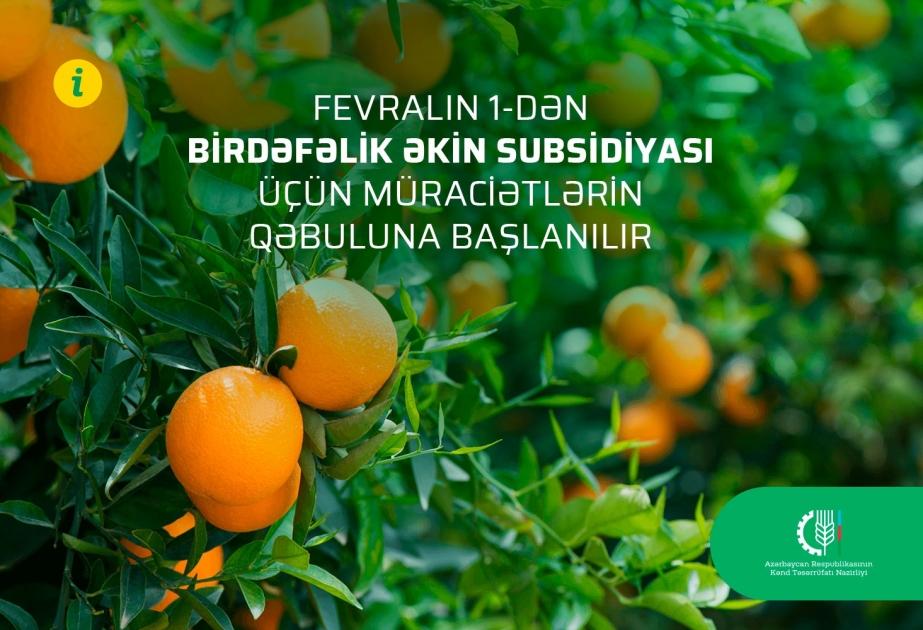 Fevralın 1-dən birdəfəlik əkin subsidiyası üçün müraciətlərin qəbuluna başlanılır