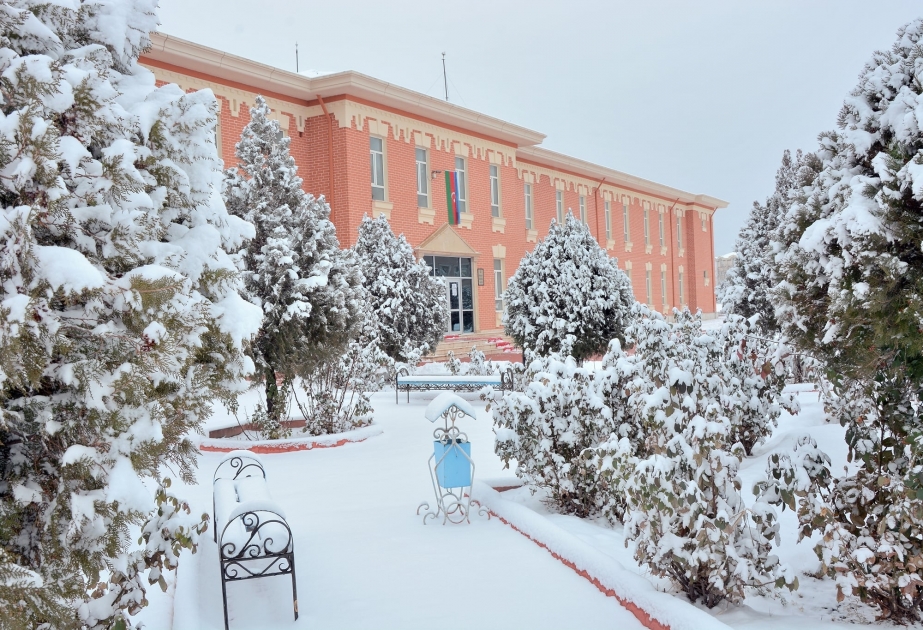 Naxçıvan Dövlət Universiteti şəhərciyinin gözoxşayan qış mənzərəsi  FOTOLENT
