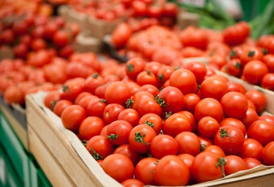 Se negociará la situación del suministro de tomate a Rusia desde Azerbaiyán