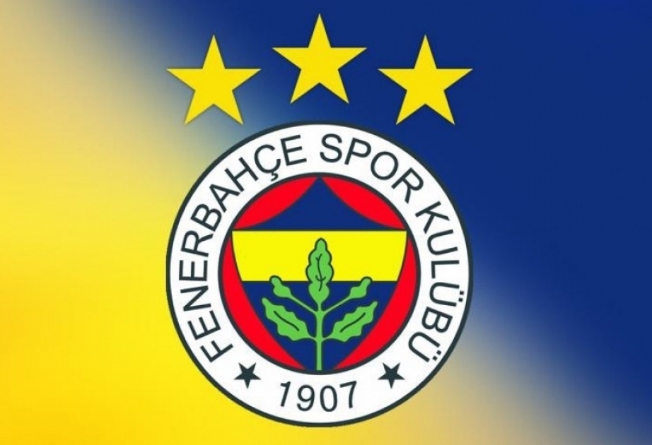 Fenerbahche claim 3-0 victory over Kayserispor