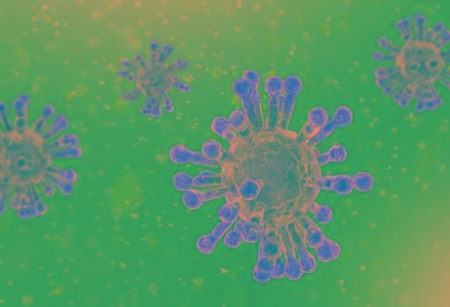 В Калифорнии выявлен новый штамм коронавируса