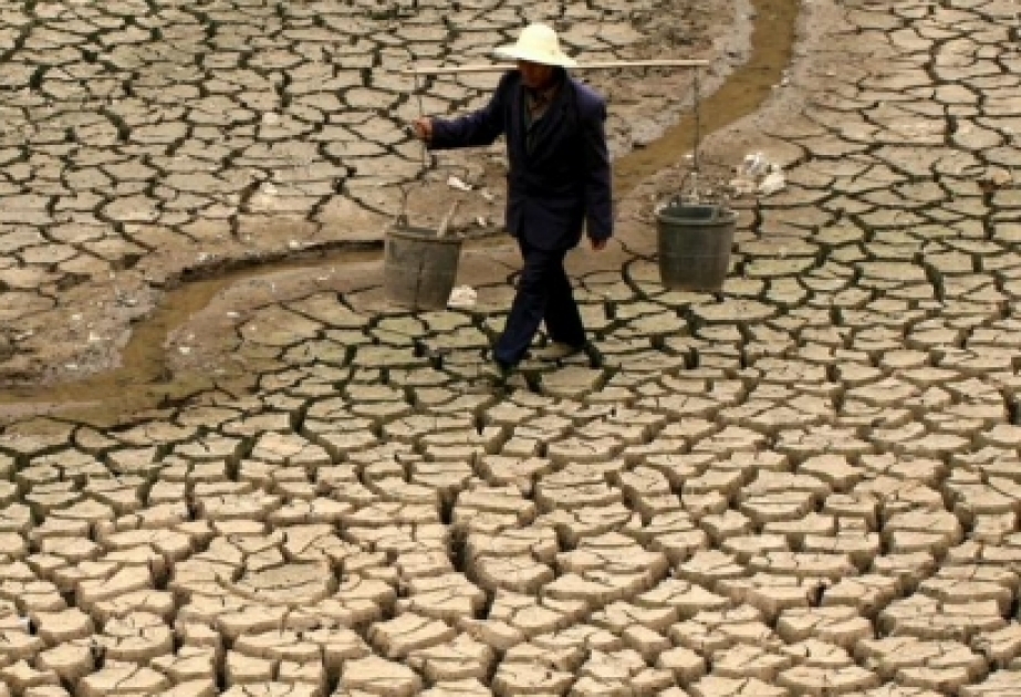 В Китае более 475 тысяч гектаров пахотных угодий пострадали от засухи