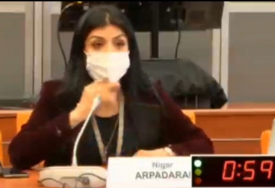 Nigar Arpadarai: Azərbaycan ərazilərində saxlanılanlar “müharibə əsirləri” deyil, diversant və terrorçu qruplardır