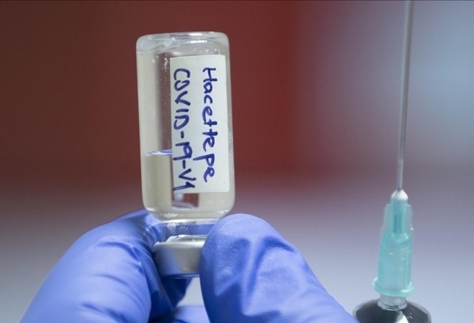 Universidad turca desarrollará fármacos para el coronavirus en colaboración con científicos chinos