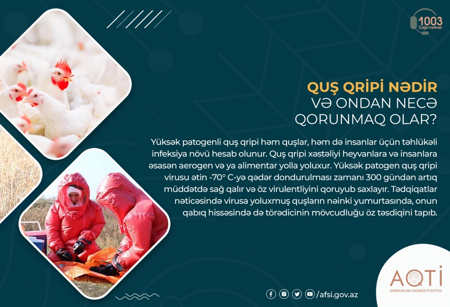 Quş qripi nədir və ondan necə qorunmaq olar?