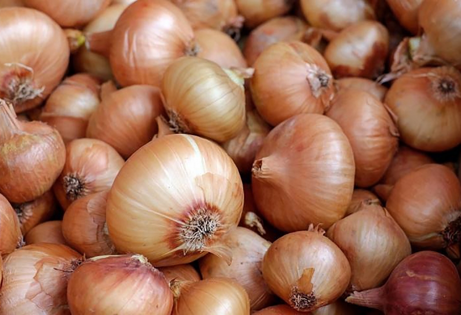 Qazaxıstandan ölkəmizə idxal edilən soğan məhsulunun istehlak üçün yararsız olduğu aşkarlanıb