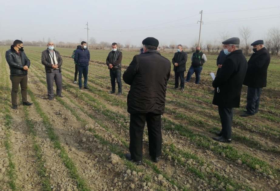 Bərdədə fermer və aqrar mütəxəssislərin iştirakı ilə təlim keçirilib