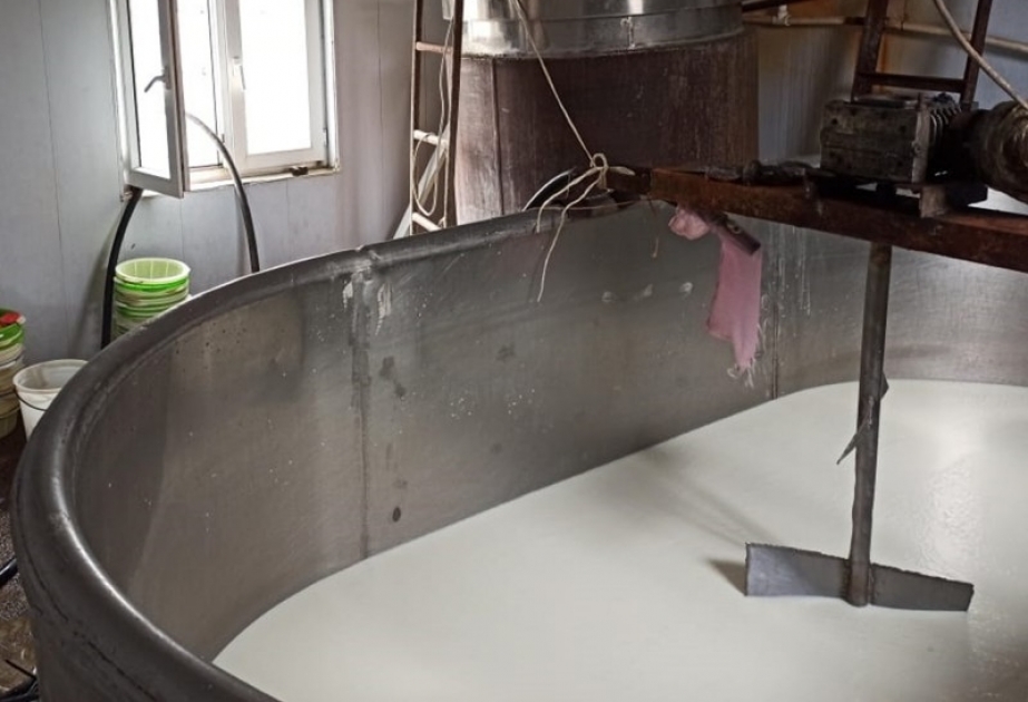 Bərdədə istehlak üçün yararsız 347 kiloqram pendir məhv edilib