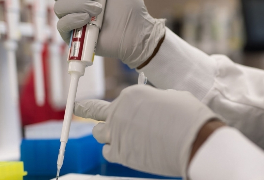 OMS ayudará a los países para reforzar los sistemas de recopilación de datos sanitarios, incluidos los de mortalidad